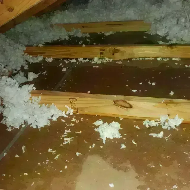 Attic Water Damage in Union Grove, WI